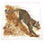 エルメス Panthera Pardus パンテラパルドゥス カレジェアン 140 画像